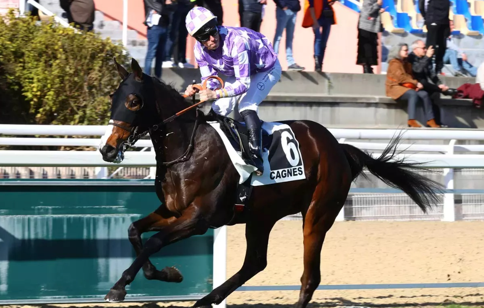 jephte turf || jephturf || jephte turf accueil || jephte-turf || jepturf turf